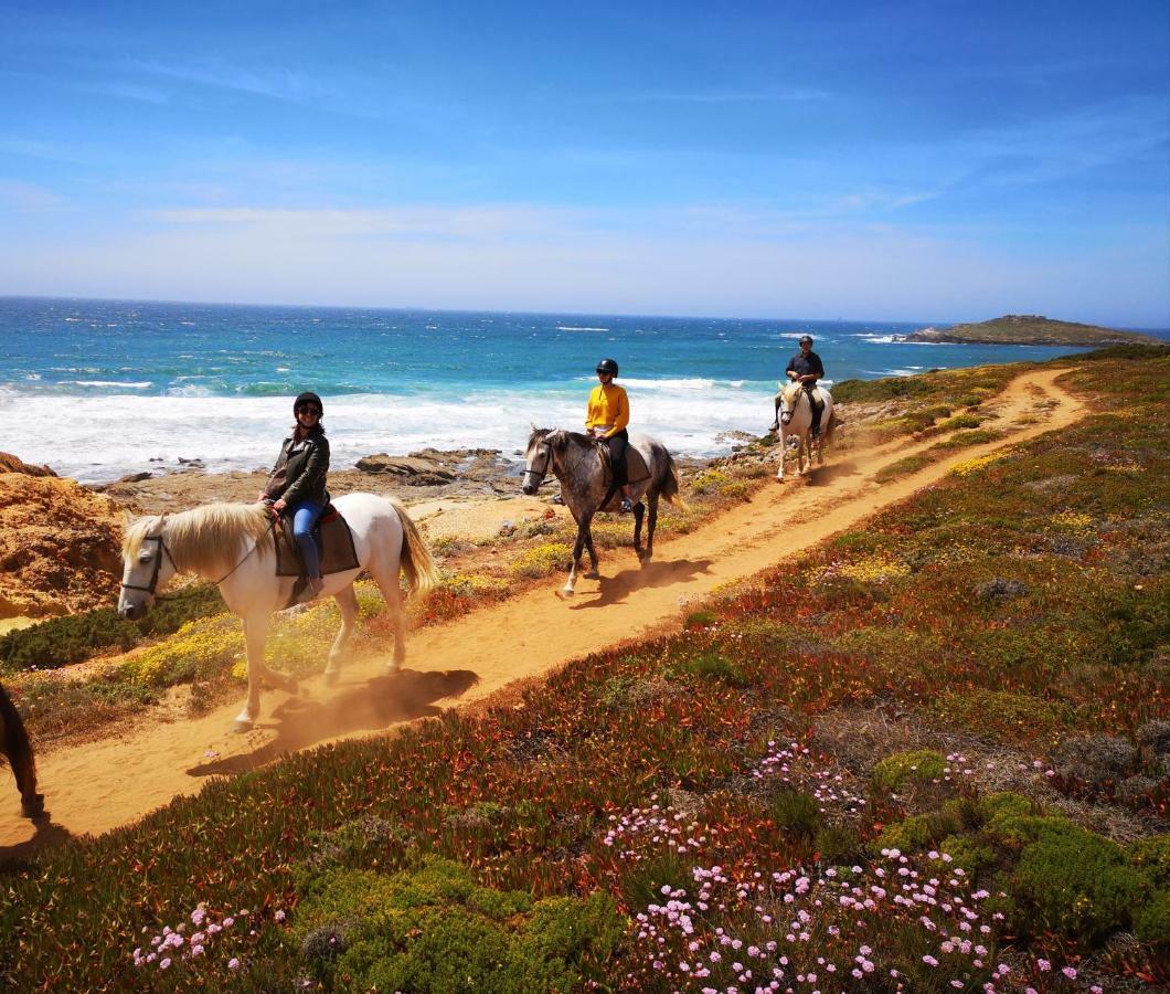 Herdade Do Pessegueiro Porto Covo Eksteriør billede